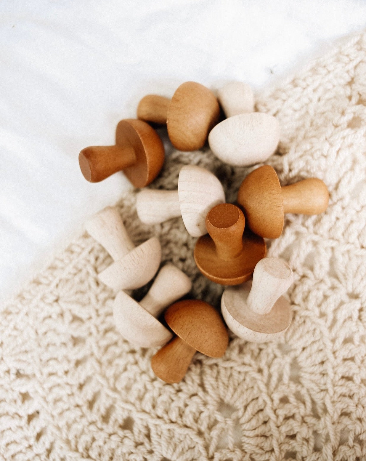 Natural Wooden Mushroom Set