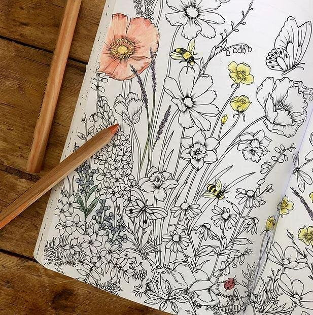 Your Wild Journal Book
