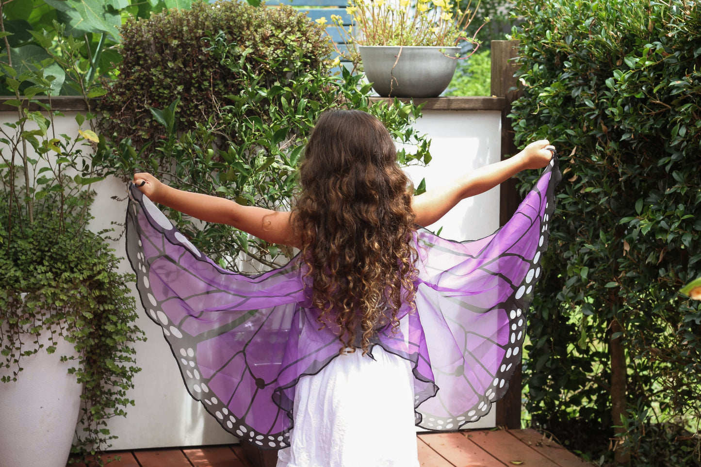 Butterfly Wings - Purple