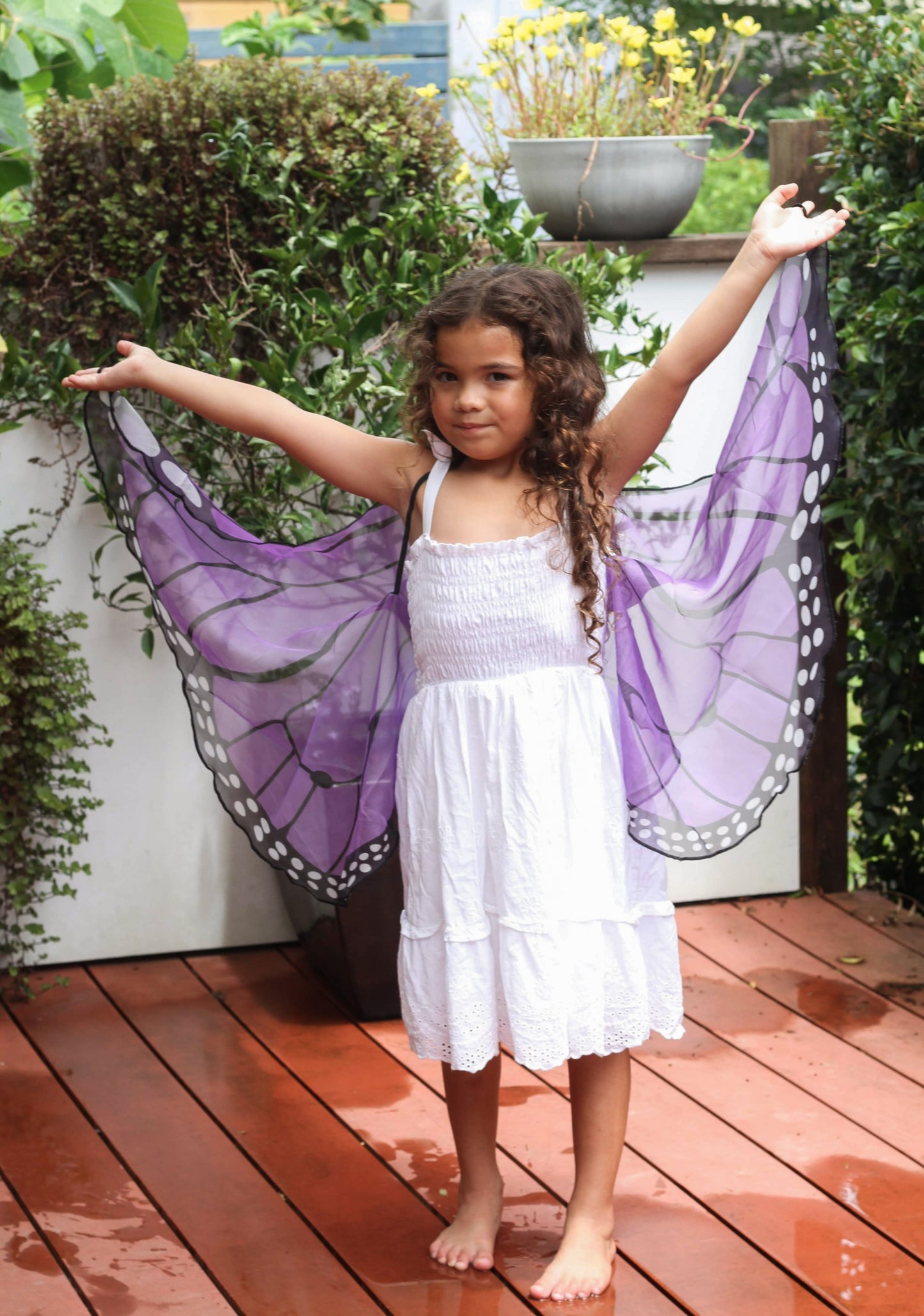 Butterfly Wings - Purple