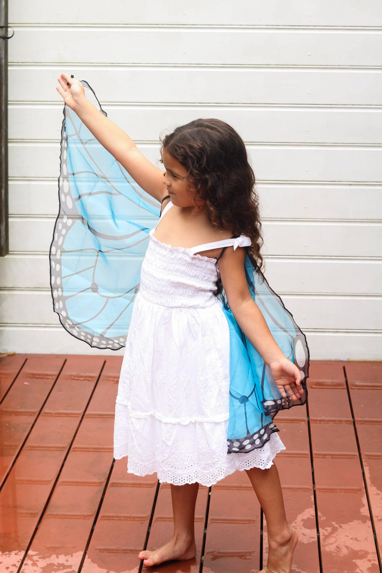 Butterfly Wings - Blue