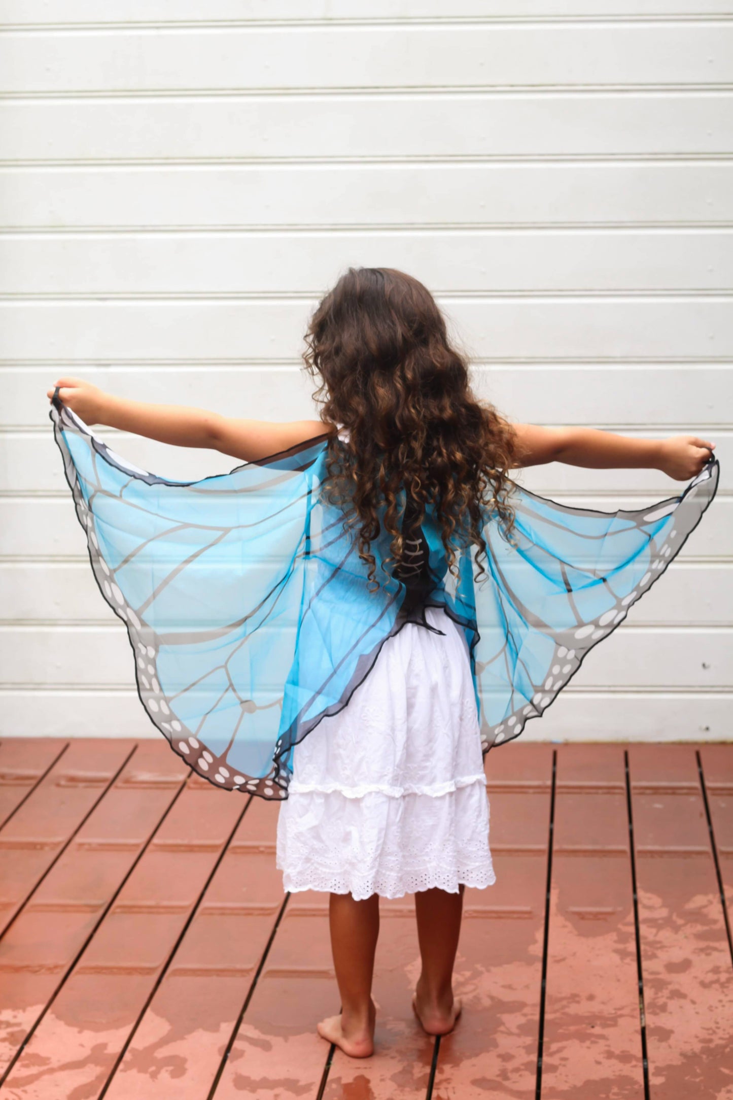 Butterfly Wings - Blue