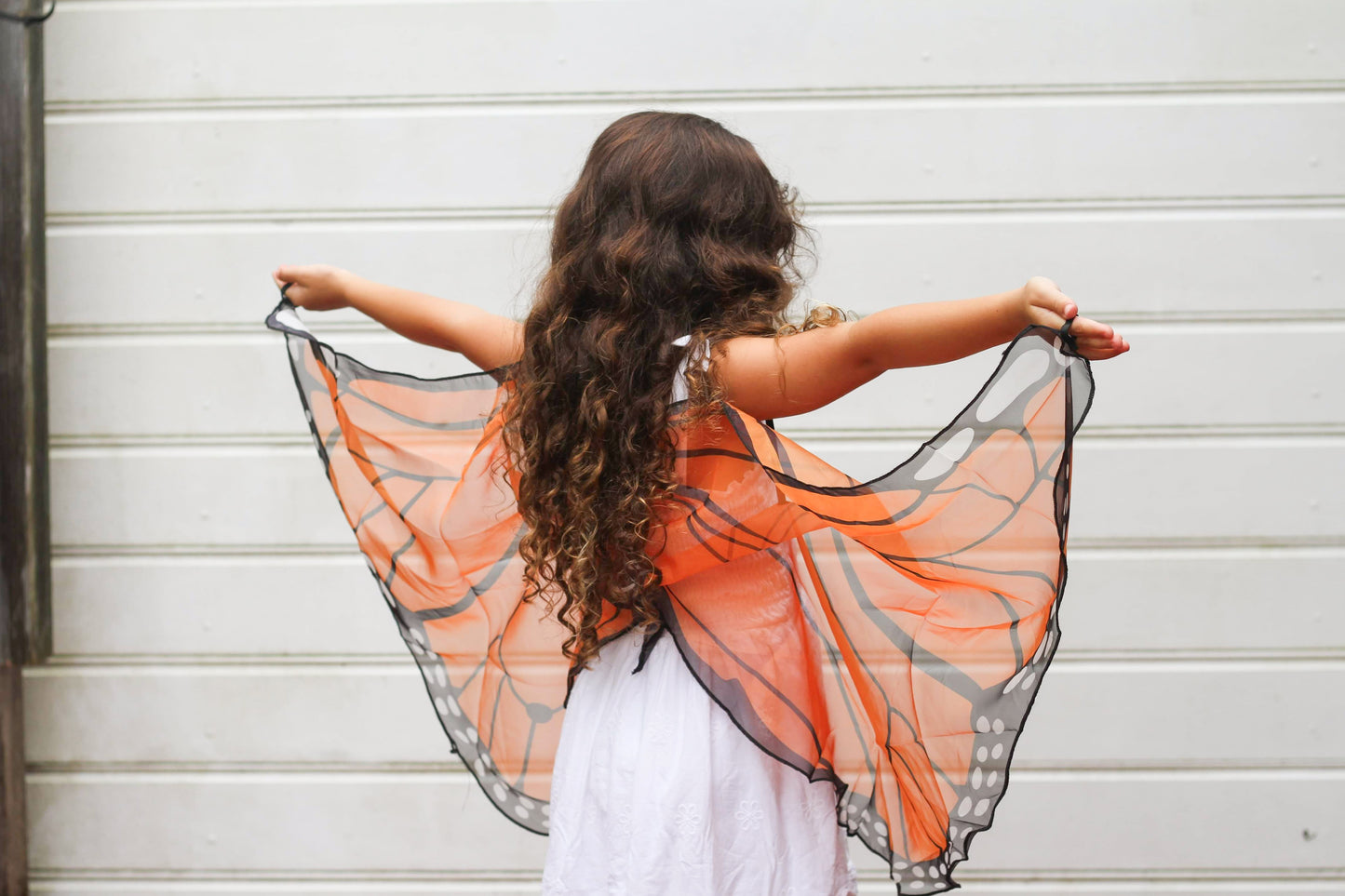 Butterfly Wings - Orange