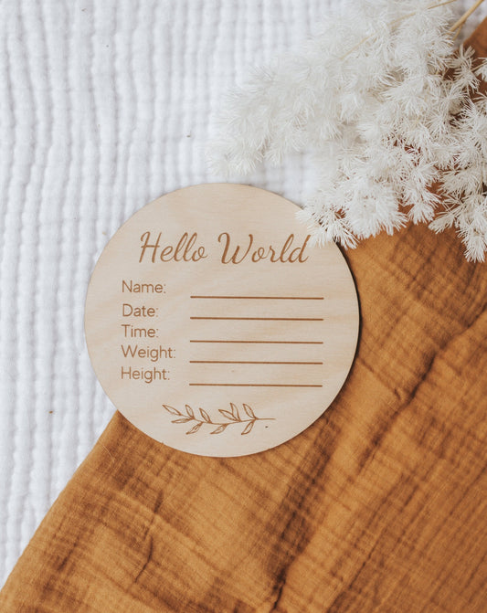 Hello World Announcement Disc