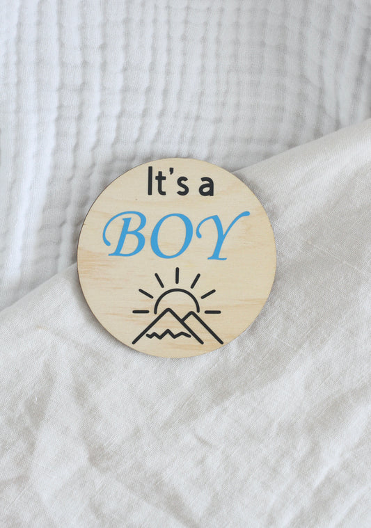 It's A Boy Mountain Announcement Disc