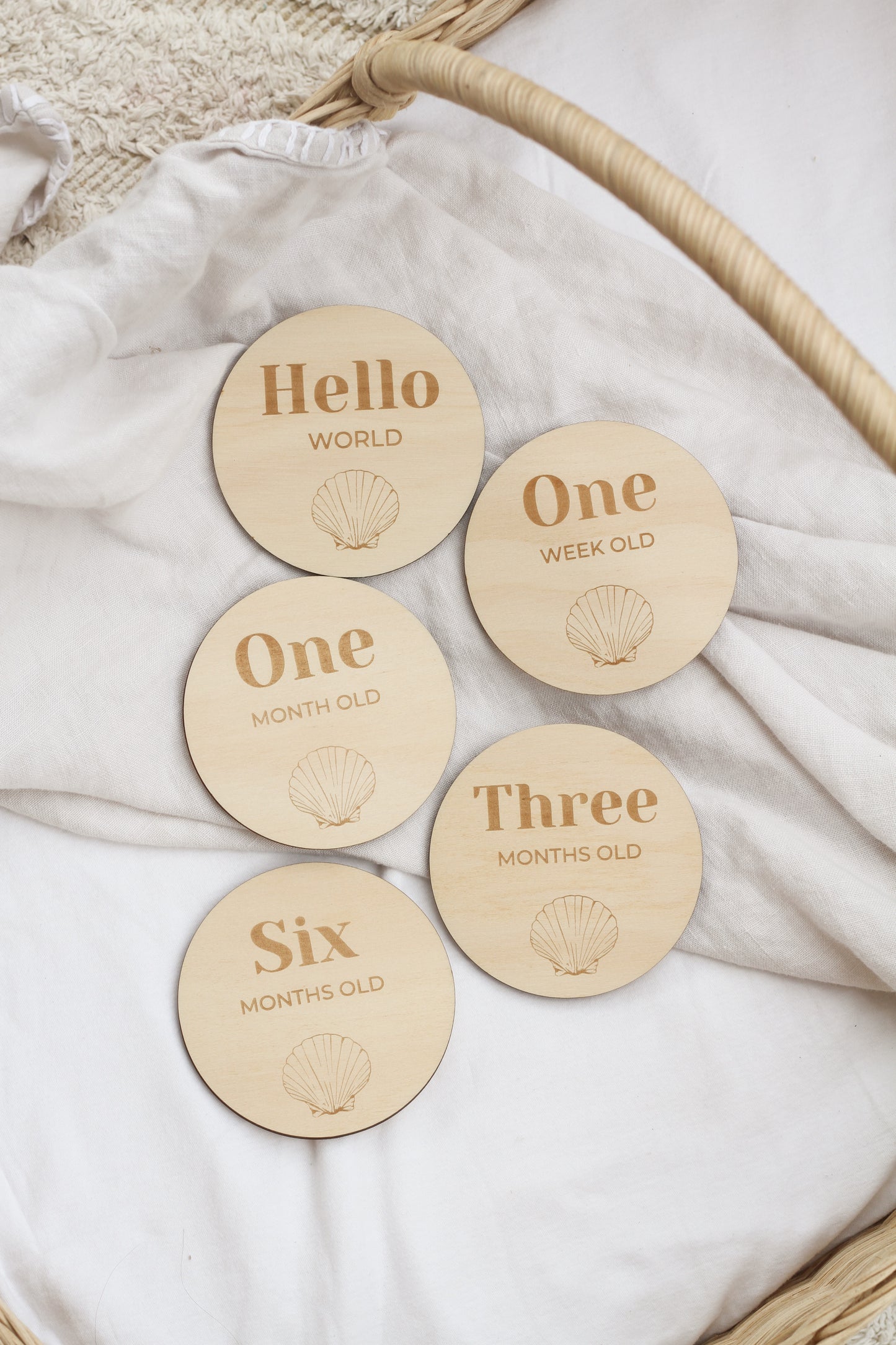 Shell Milestone Disc Set of 5