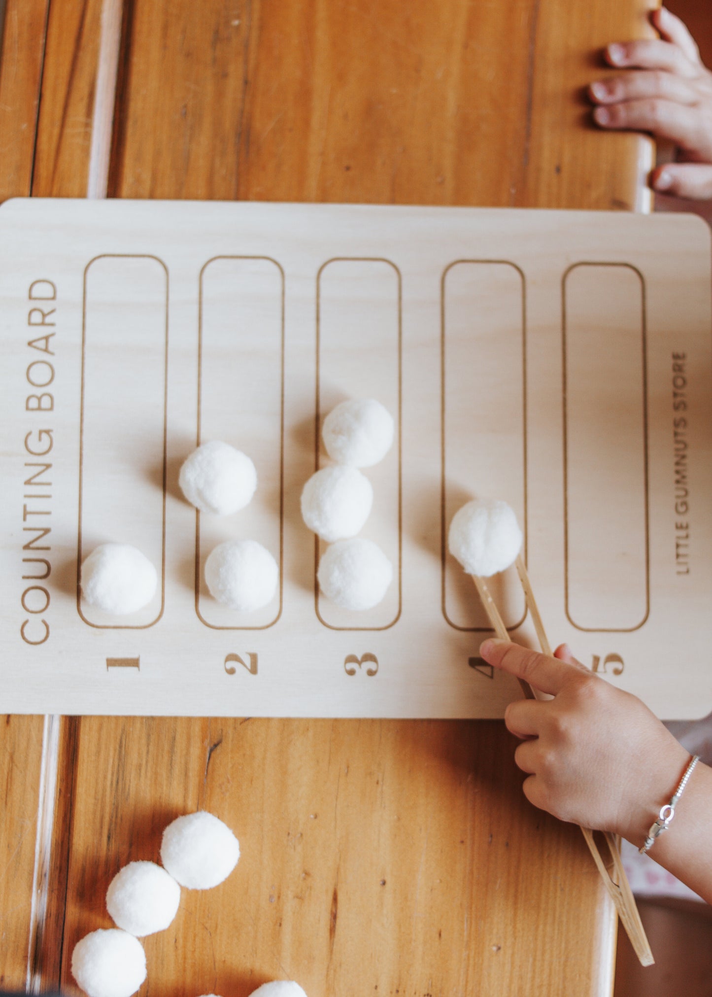 Counting Board Set