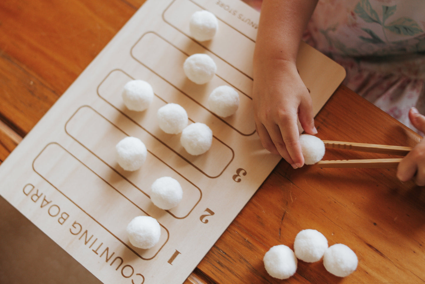 Counting Board Set