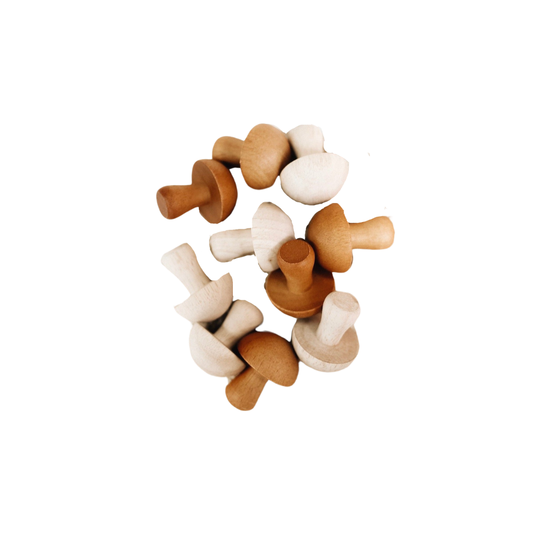 Natural Wooden Mushroom Set